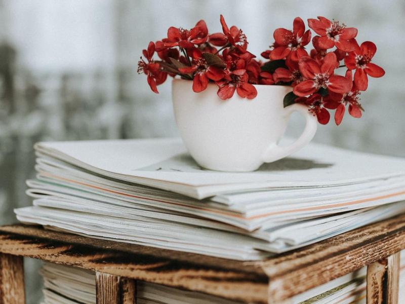 Bulletin Municipal N°42 JUIN